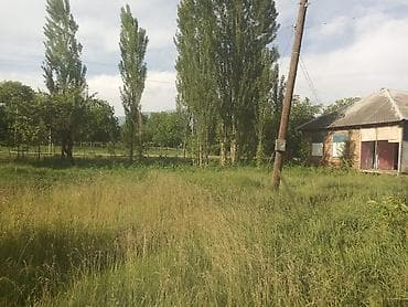 divanlar ucuz: Salamı aleykum İsmayıllı rayonunda özündə belə bir gözəl torpaq sahəsi — 1