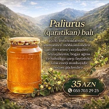 qida məhsullarının topdan satışı: Paliurus (qaratikan) balı - Güclü antioksidant. - İmmuniteti — 1