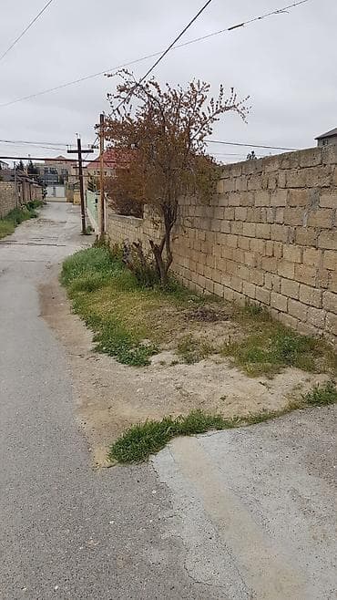torpaqlar: 6 sot, Tikinti, Kupça (Çıxarış) — 7
