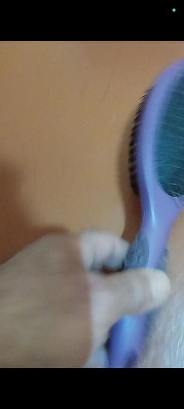 Akvariumlar: İkiüzlü daraq/çəngəl fırça - Material: bir üzdə paslanmayan metal — 2