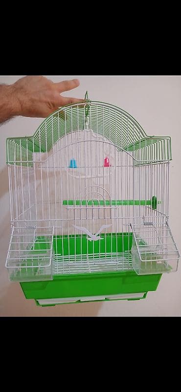 bakida it bazari hardadir: Papuqay tutuquşu bulbul üçün qəfəs setqa satıram. İcinde teze yem qabı — 1