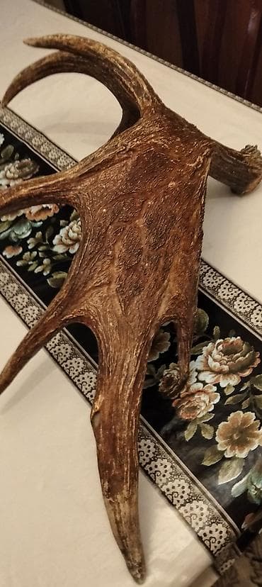 kitab skafi: Digər kitablar və jurnallar — 6