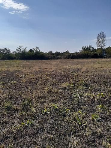 tap az kiraye evler memar ecemi: 150 sot, Biznes üçün, Mülkiyyətçi, Kupça (Çıxarış) — 3