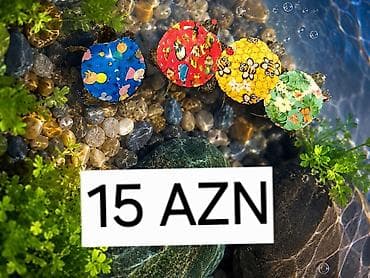ev dovşan: Məhsul: Qırmızıqulaq su tısbağası balaları (Trachemys scripta elegans) — 2