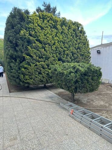 kiraye evler 250 300 manat bileceri: 160 kv. m, 4 otaqlı, Kombi, Qaz, İşıq — 12