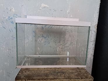 Salam ümümi 6 ədəd akvarıum satılır hamısı bir yerdə 50 azn,tək