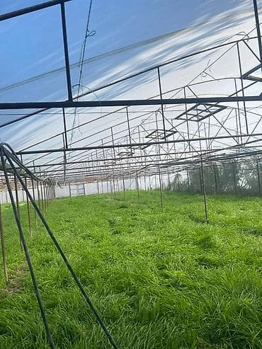 Moyka avadanlığı: Parnik isdixana — 3