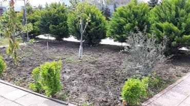 baki hovuzlu evler: 200 kv. m, 4 otaqlı, Qaz, İşıq, Su — 15