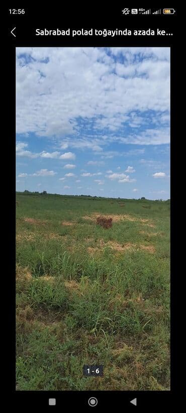 turkanda bag evi: 800 sot, Kənd təsərrüfatı, Kupça (Çıxarış) — 5