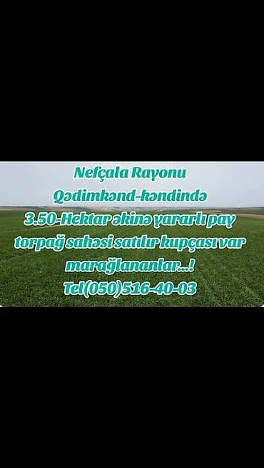 Neftçala rayonu qədimkend kendində əkinə yararlı torpağ sahəsi satılır