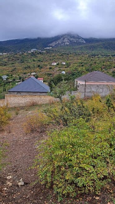 şabran torpaq: 10 соток, Купчая — 3
