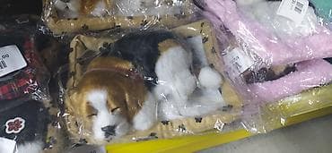 qus qefesi satilir: Salam eziz musderilermiz yeni gelen masin siti ucun itlermiz geldi — 4