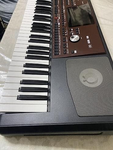 Sintezator, Korg, Yeni — 4