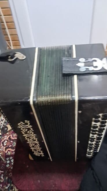 1 cent neçə manatdır: Akustik Akkordeon — 6