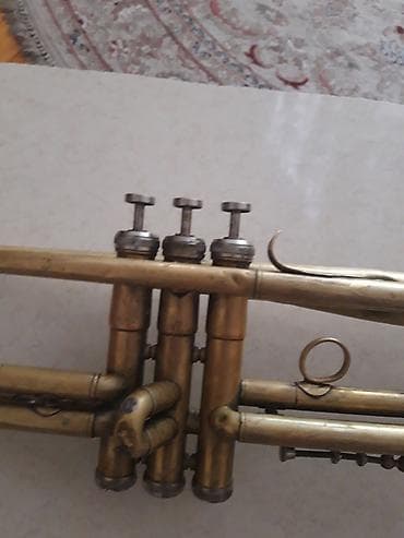 goldun: Uşaqlar üçün digər mallar — 3