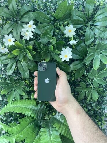 iphone 13 mini ikinci el: IPhone 13 mini, 128 GB, Yaşıl, Face ID, Zəmanət — 1