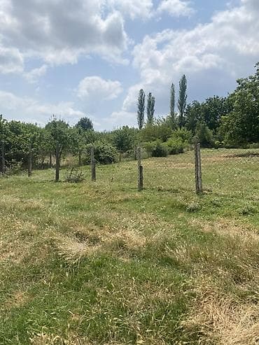bulbulə torpaq: 15 sot, Tikinti — 5