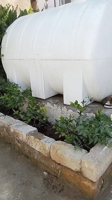 Satılır ikinci əl çənlər. 1000 litr,1500 litr,3000 litr,5000 lalafo.az -da Satılır ikinci əl çənlər. 1000 litr,1500 litr,3000 litr,5000