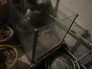 Şüşə akvarium
Barter ederem toyugla teklifler maraglirdir lalafo.az -da Şüşə akvarium
Barter ederem toyugla teklifler maraglirdir