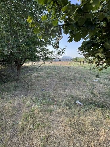 binəqədidə torpaq satılır: Torpaq satılır – 13 sot | Gəncəyə yaxın 📍 Gəncə şəhərinə cəmi 2 km — 4