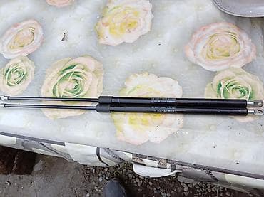 Avtomobilin elektrik sistemləri: Qazlı amortizator qolları (qapaq/kapot/tumbanın qaldırıcıları) – cüt — 2