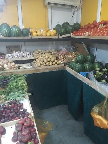 rizen dovşan: Watçapla zeng ede bilersiz endirim olacaq - Vitrin və rəflər — 4