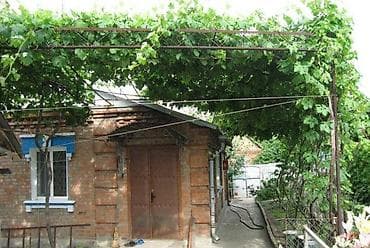 zvonok it satisi: 1 ay, Erkek, Ünvandan götürmə — 3