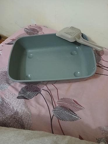pişik ucun qab: Pişik üçün qum qabı. çartı və ya qırığı yoxdur. ünvandan götürə — 2