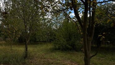 sumqayit corat heyet evleri: 15 sot, Tikinti, Makler, Kupça (Çıxarış) — 6