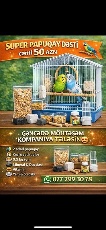 Super Papuqay Dəsti – cəmi 50 AZN Dəstənin tərkibi: - 2 ədəd papuqay — 1