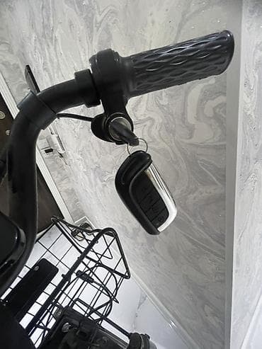 Elektrik velosipedlər: Elektrik velosipedi – MANLIMA şəhər modeli - Güclü arxa mərkəz — 10