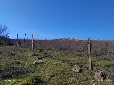 vasitəçisiz iki otaqlı mənzil kirayələmək: Kənd təsərrüfatı — 5