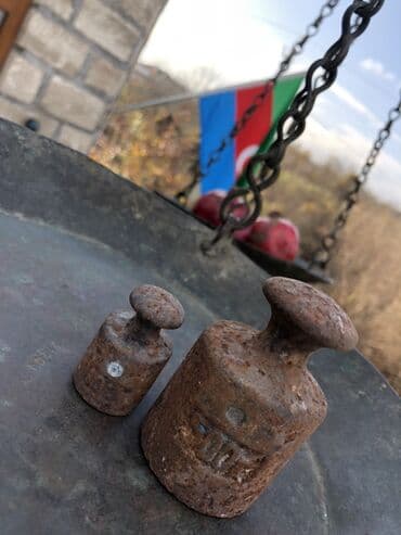 Avadanlığın icarəsi: Asılqan, Nağd ödəniş — 10