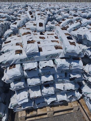 tuya ağacı faydaları: Parnik və bağ üçün kakobit — 2