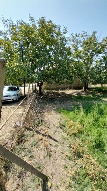 binə atçılıq torpaq satılır: 8 sot, Tikinti, Maklerlər narahat etməsin, Kupça (Çıxarış) — 1