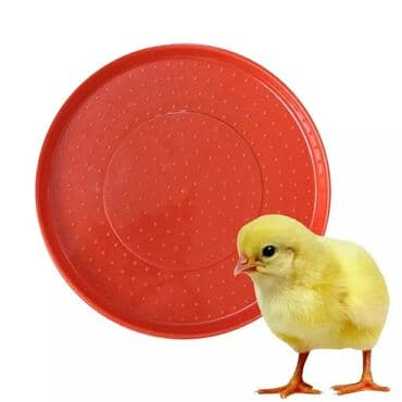 termostat inkubator: Yem qabi Yem qabi padnospadnos Balaca ölçülü 3azn Böyük ölçülü — 1