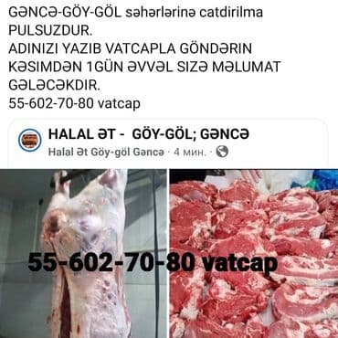 Соусы и специи: HALAL ƏT - GÖY-GÖL; Gəncə. Gəncə və Göy-Göl şəhərlərinə çatdırılma — 1