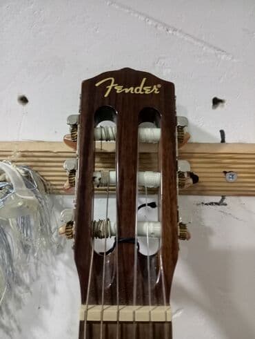 Akkordeonlar: Klassik gitara, Fender — 4