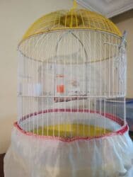daniwan papuqay: Təmiz papuqay uçun quş qəfəsi qiymətdə razılaşmaq olar — 1