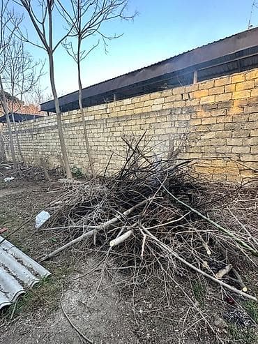 Avto xidmətlər: Resulzade qesebesi pasyolka kirovda ne qeder isteyirsen odun var — 3