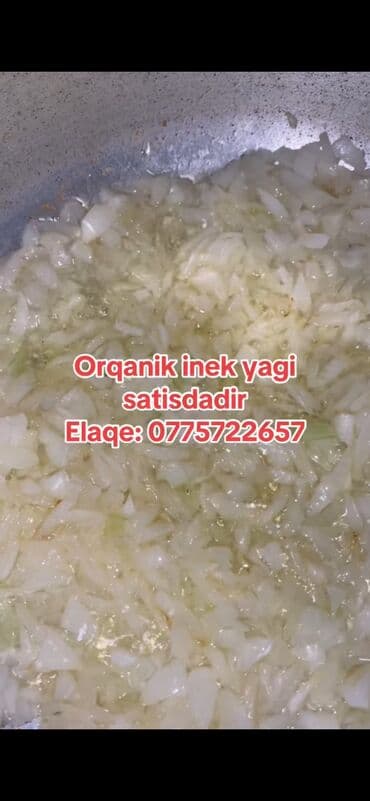 yağı: Yemeklerinize xususi dad qatacaq tebbi otlanan ineklerden sufrenize — 1