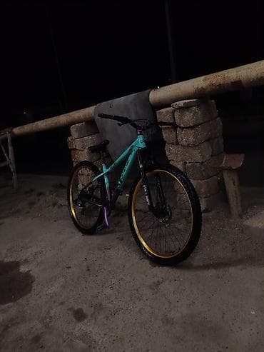 velosipet: - Rəng: firuzəyi və bənövşəyi çərçivə, qızılı haşiyəli təkərlər - — 1