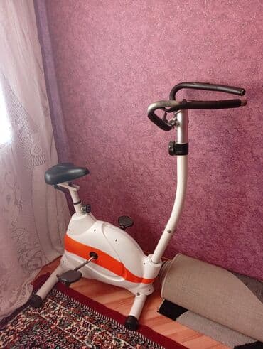 Другое для спорта и отдыха: Məhsul: Ev üçün velotrenajor - Tip: Mexaniki/maqnit tipli şaquli — 2