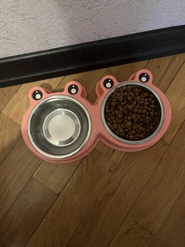 dog karalevski: Şinşilla, Dişi, Yaxşı əllərə, Pulsuz çatdırılma — 7