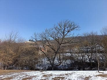 ehmedlide 2 otaqli evlerin satisi: 100 sot, Mülkiyyətçi, Bələdiyyə — 3