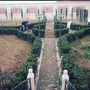 Tikinti və təmir: Pejaj və landşaft xidmətləri - Həyətyanı sahələrin tam — 10