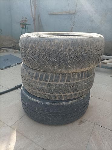 işlenmiş sukiterler: Salam satılır kime uyğundursa vp da yazsın. 205/60/16 qiymət 3ededine — 2