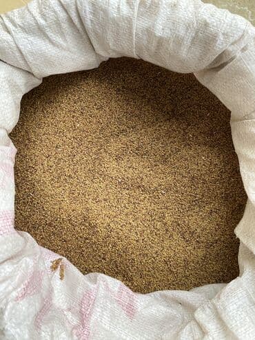 купить обои в баку онлайн: 7illik yonca toxumudu. Vimdə təmizlənib Əla və məhsuldar toxum — 2