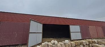 nzs kiraye evler 2021: Buzovnada çox münasib qiymete anbarlar ve her növ istehsalat sexlerine — 5