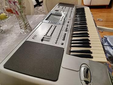 Gitaralar: Sintezator, Korg — 2